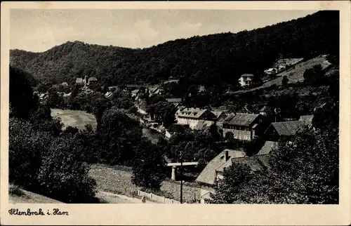 Ak Altenbrak Thale im Harz, Gesamtansicht