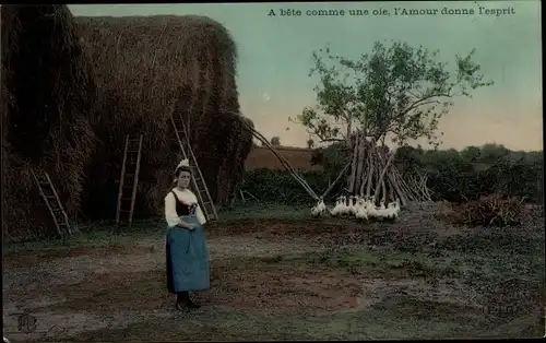 Ak Frau in französischer Tracht, Heu, Enten, Bauernhof