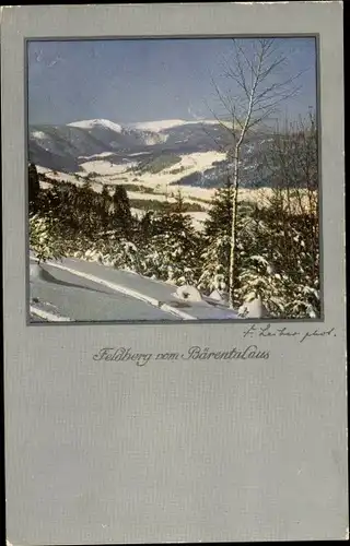 Ak Bärental Feldberg im Schwarzwald, Panorama, Winter