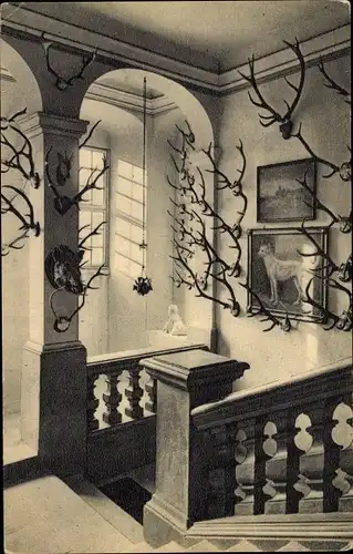 Ak Weesenstein Müglitztal, Innenansicht, Jagdschloss, Aufgang, Geweihe, Gemälde