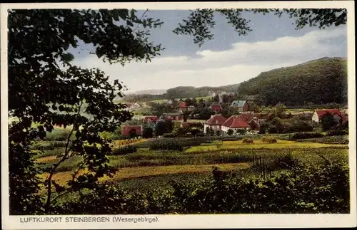 Ak Steinbergen Rinteln an der Weser, Panorama