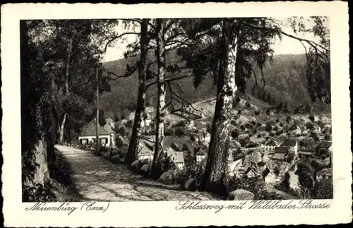 Ak Neuenbürg an der Enz Schwarzwald, Schlossweg, Wildbader Straße