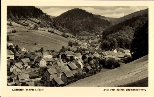 Ak Sieber Aschenhütte Harz, Gesamtansicht, Oberer Promenadenweg