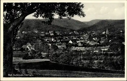 Ak Bad Suderode Quedlinburg im Harz, Gesamtansicht