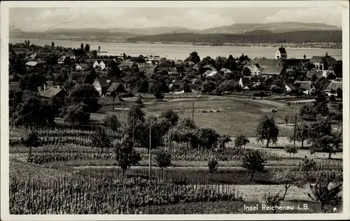 Ak Insel Reichenau Bodensee, Panorama