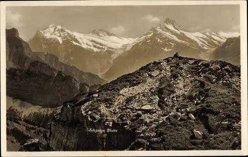 Ak Schynige Platte Kanton Bern, Alpenpanorama