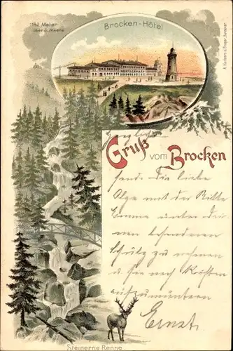 Litho Brocken Nationalpark Harz, Brockenhotel, Steinerne Renne, Hirsch