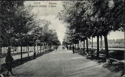 Ak Russe Roustchouk Bulgarien, Allee