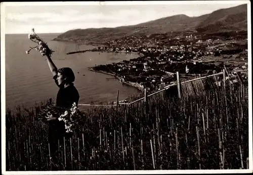 Ak San Remo Ligurien, Panorama, Frau bei der Ernte von Nelken