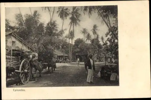 Ak Colombo Ceylon Sri Lanka, Partie aus dem Dorf