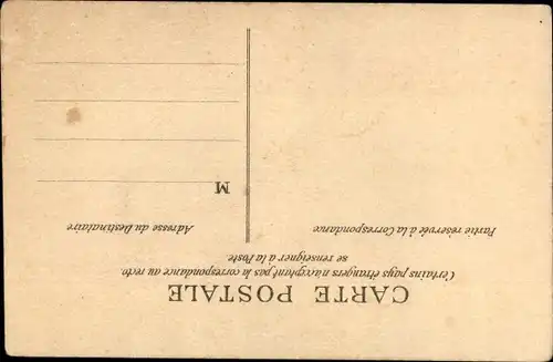 3 D Ak Elle, Portrait einer Frau mit Hut, Schleier
