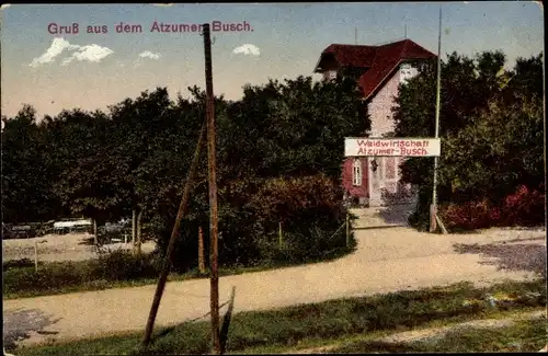 Ak Atzumer Busch Wolfenbüttel in Niedersachsen, Waldwirtschaft