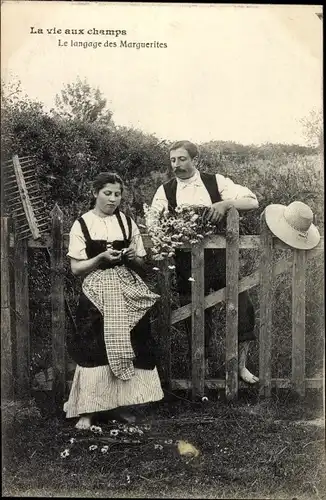 Ak Frankreich, Leben auf den Feldern, Die Sprache der Gänseblümchen