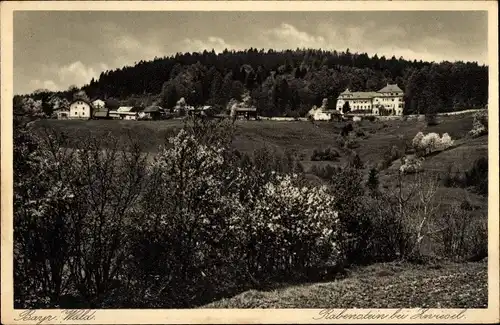 Ak Rabenstein Zwiesel im Bayerischen Wald, Panorama