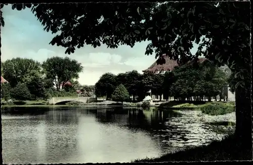 Ak Oldenburg im Großherzogtum Oldenburg, Dobbenrteich