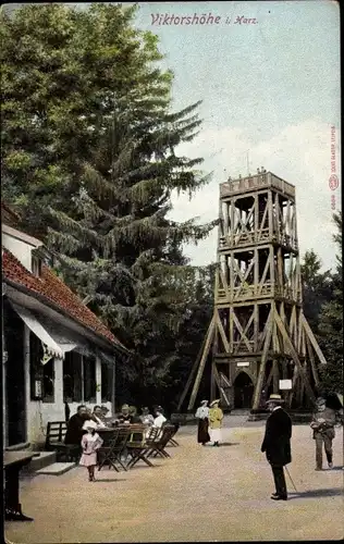 Ak Friedrichsbrunn Thale im Harz, Aussichtsturm auf der Viktorshöhe