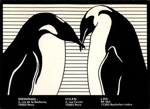 Ak Greenpeace, Pinguine, Antarktika, Tierschutz, Umweltschutz