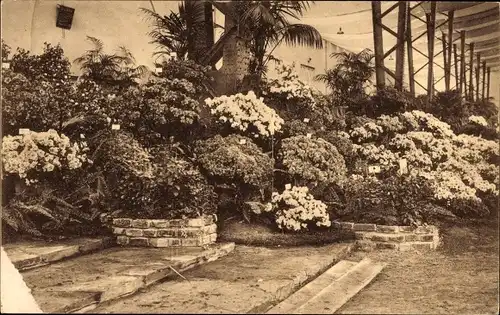Ak Gent Gent Ostflandern, Gent Floralies 1938