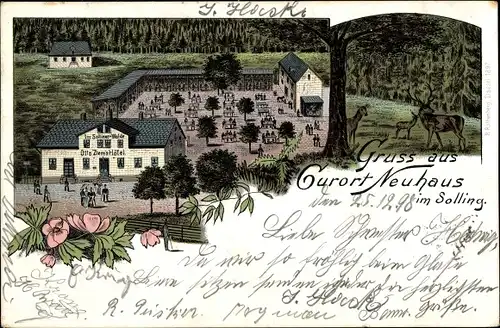 Litho Ak Neuhaus im Solling Holzminden Niedersachsen, Kurhotel im Wald, Hirsche