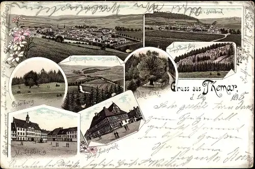 Litho Themar Thüringen, Panorama v. gehegten Berg, Osterburg, Marktplatz, Herzgl. Amtsgericht