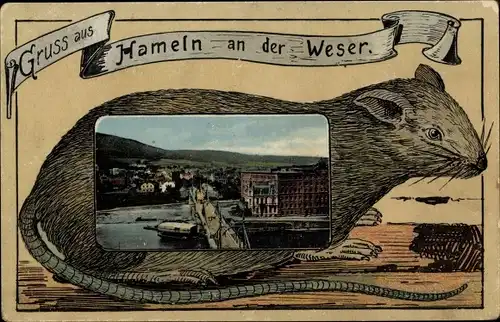 Passepartout Ak Hameln an der Weser Niedersachsen, Teilansicht, Ratte