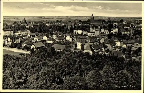 Ak Chojnów Haynau Schlesien, Gesamtansicht