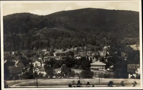 Ak Bad Herrenalb im Schwarzwald, Panorama