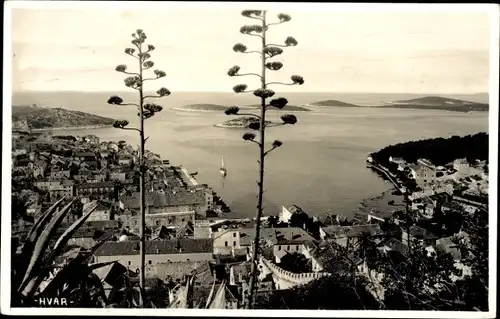 Ak Hvar Kroatien, Gesamtansicht