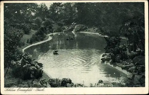 Ak Enzesfeld in Niederösterreich, Blick auf den Teich