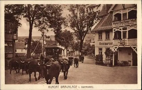 Ak Braunlage im Oberharz, Hotel Berliner Hof, Restaurant, Straßenbahn, Rinderherde