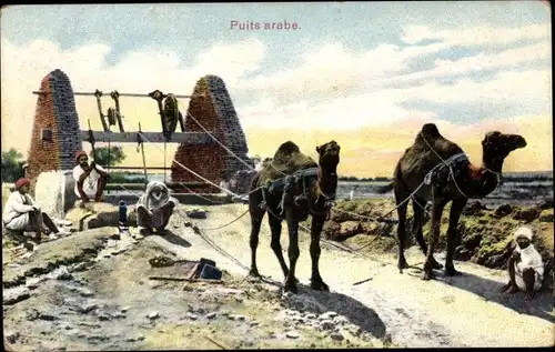 Ak Wasserquelle, Wasserschöpfung, Kamele, Maghreb