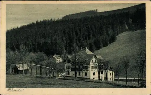 Ak Wildenthal Eibenstock im Erzgebirge, Hotel zur Post