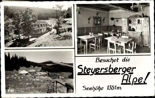 Ak Kirchberg am Wechsel in Niederösterreich, Steyersberger Schwaig