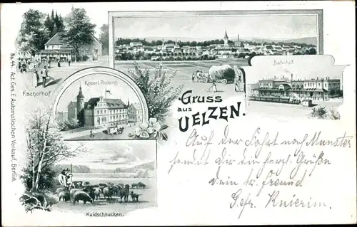 Litho Uelzen in Niedersachsen, Bahnhof, Fischerhof, Kaiserl. Postamt, Haidschnucken, Panorama