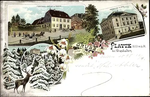 Litho Wiesbaden in Hessen, Forsthaus, Gasthof und Pension, Jagdschloss Platte, Winterzauber, Hirsch