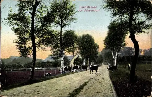 Ak Vahrendorf Rosengarten Niedersachsen, Landstraße, Kühe