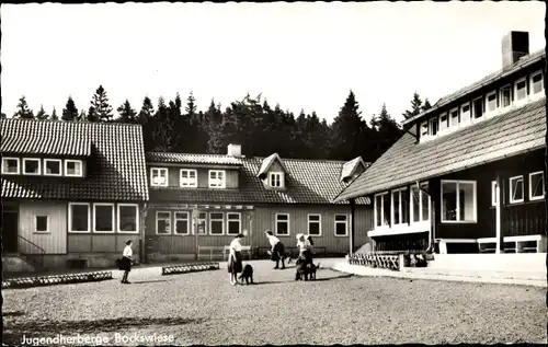 Ak Hahnenklee Bockswiese Goslar, Jugendherberge Bockwiese , Hof