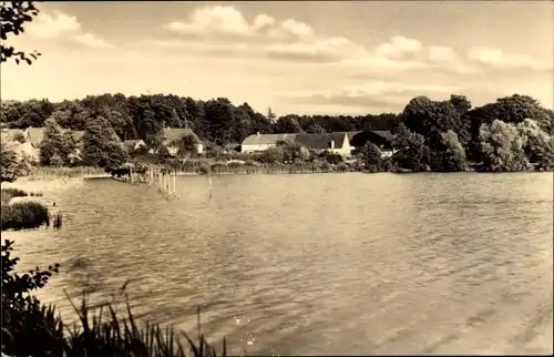 Ak Binenwalde Neuruppin in Brandenburg, Teilansicht vom Wasser aus