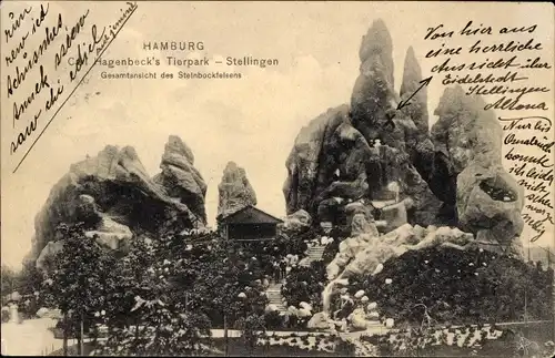 Ak Hamburg Eimsbüttel Stellingen, Carl Hagenbecks Tierpark, Steinbockfelsen