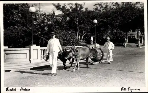 Ak Funchal Insel Madeira Portugal, Karren, Männer in Tracht