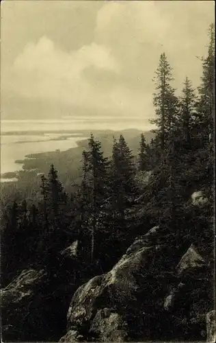 Ak Finnland, Berg Koli, Wald, Felsen