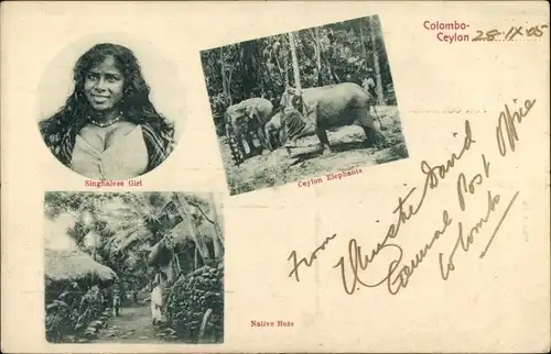 Ak Colombo Ceylon Sri Lanka, Ceylon Elephanta, Singhalese Girl, Native Huta