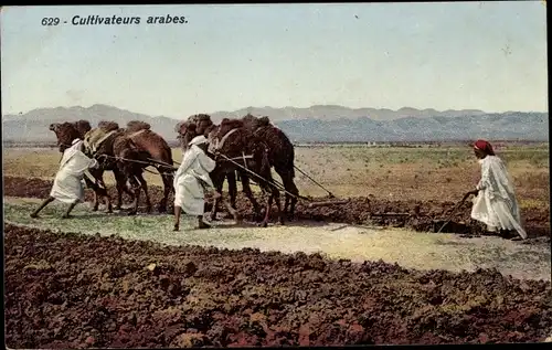 Ak Arabische Bauern bei der Arbeit, Pflug, Kamele, Landwirtschaft