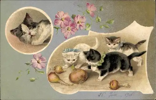 Litho Junge Katzen, Zwiebeln, Blütenranke