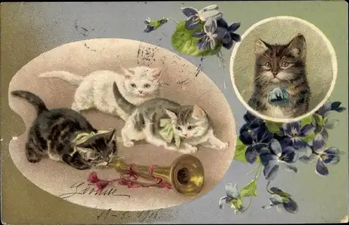 Litho Junge Katzen, Trompete, Veilchen