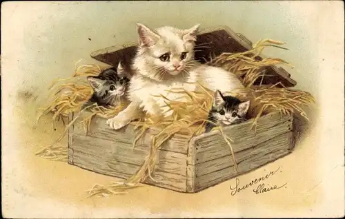 Litho Katzenmutter mit jungen Kätzchen in einer Holzkiste