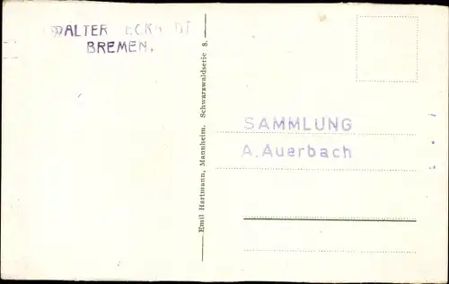Ak Triberg im Schwarzwald, Gasthaus Bachjörg, Schwarzwaldbahn, 3 Bahnlinien, Eisenbahn