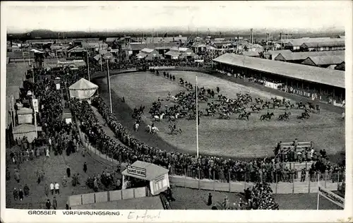 Ak Erfurt, Großer Vorführungsring, Pferdedressur