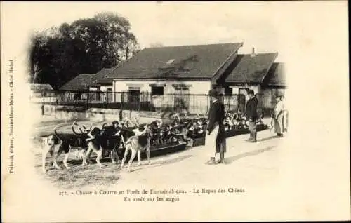 Ak Fontainebleau Seine et Marne, Foret, La Chasse a Courre, Le Repas des Chiens