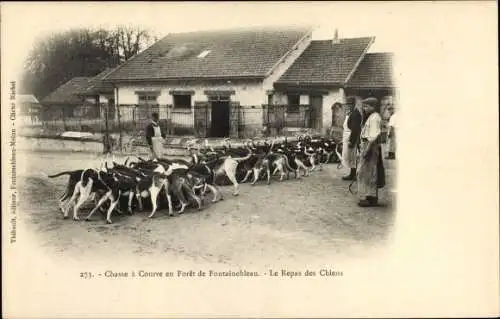 Ak Fontainebleau Seine et Marne, Foret, La Chasse a Courre, Le Repas des Chiens